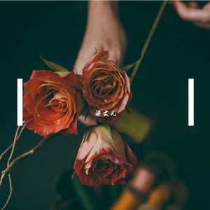 操小美女骚逼视频
